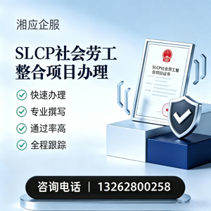 铜陵SLCP社会劳工整合项目申报服务