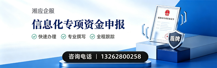 铜陵信息化专项资金申报服务