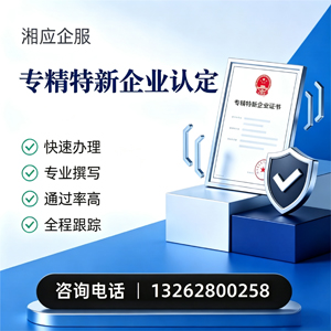 铜陵专精特新企业申报服务