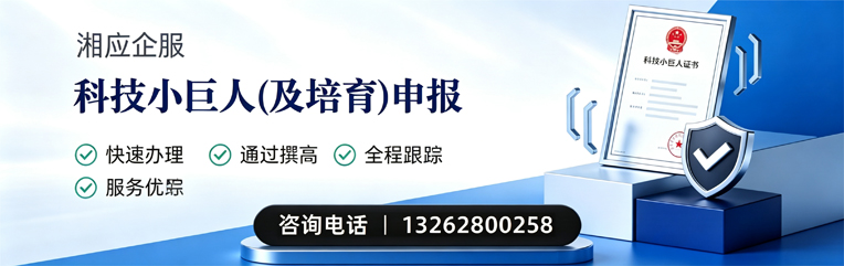 铜陵科技小巨人及培育企业申报服务