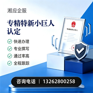 铜陵专精特新小巨人申报服务