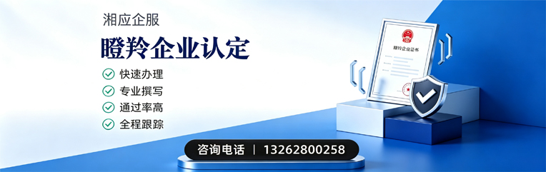 铜陵瞪羚企业认定申报服务