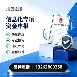 铜陵信息化专项资金申报服务