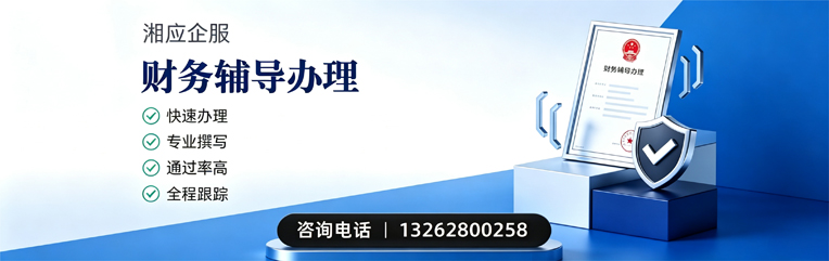 铜陵财务辅导申请服务
