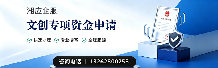 铜陵文创专项资金申报服务
