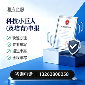 铜陵科技小巨人及培育企业申报服务