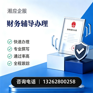 铜陵财务辅导申请服务