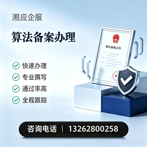 铜陵算法备案申报服务