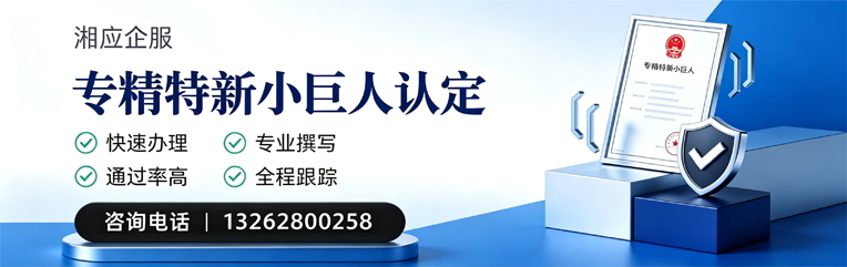 铜陵专精特新小巨人申报服务
